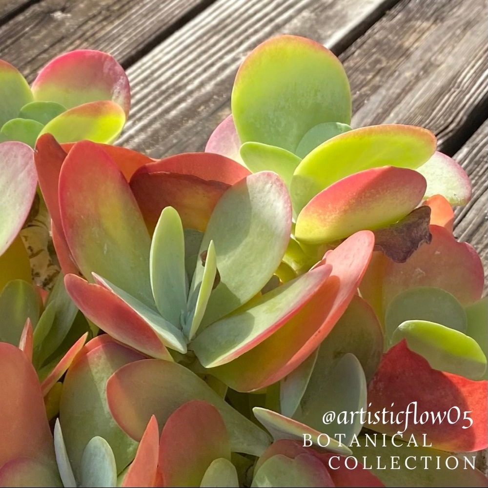 Never Underestimate The Importance Of Sun.